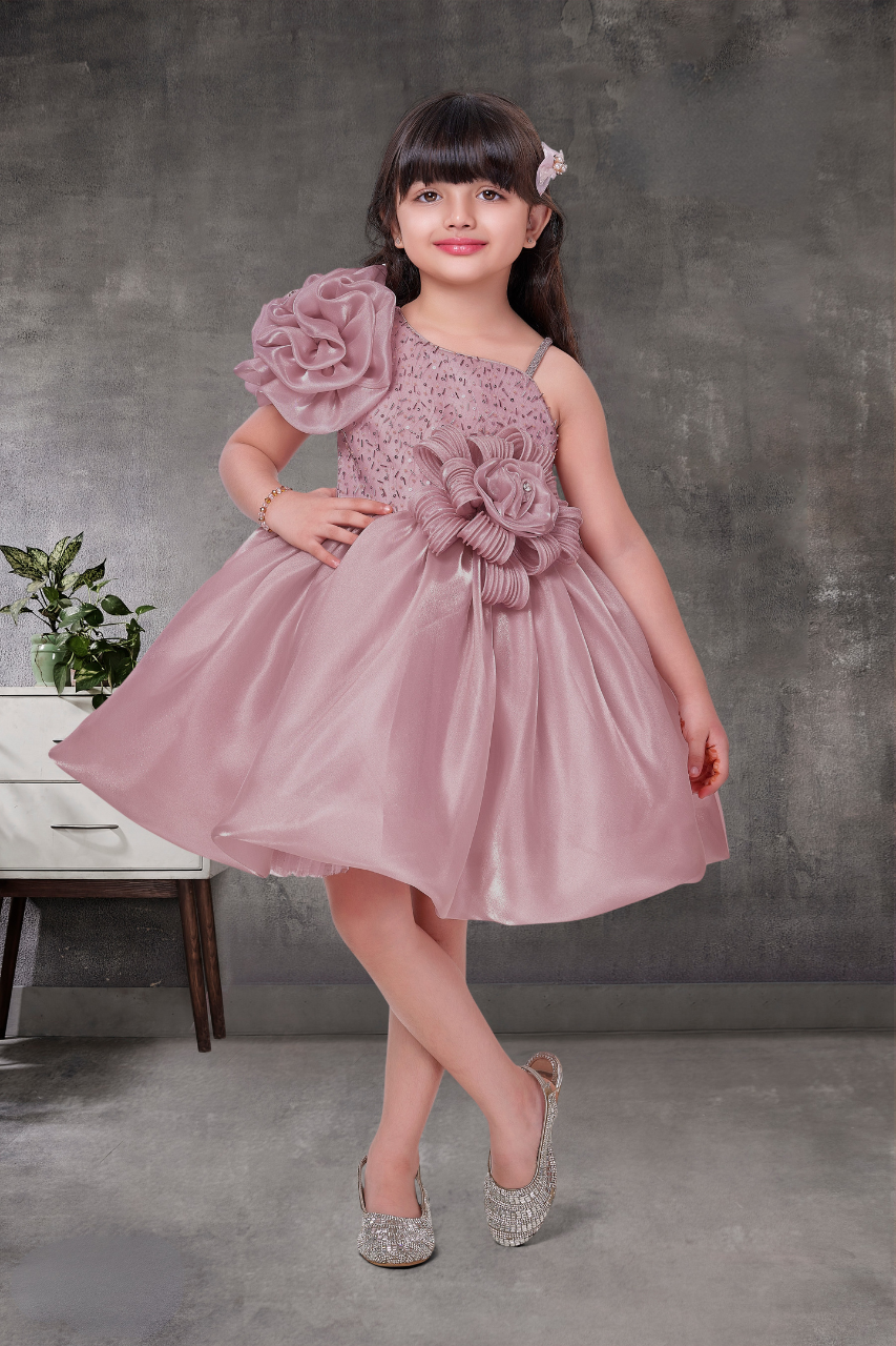 Blush Bloom Princess Party Frock For Girls