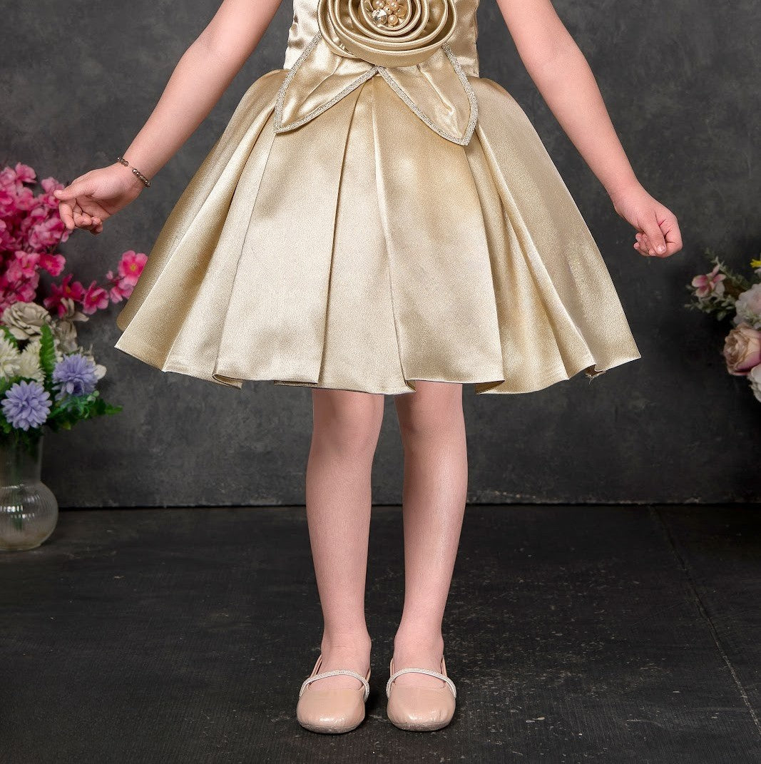 Gold Glam Rose Princess Party Dress
