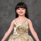 Gold Glam Rose Princess Party Dress