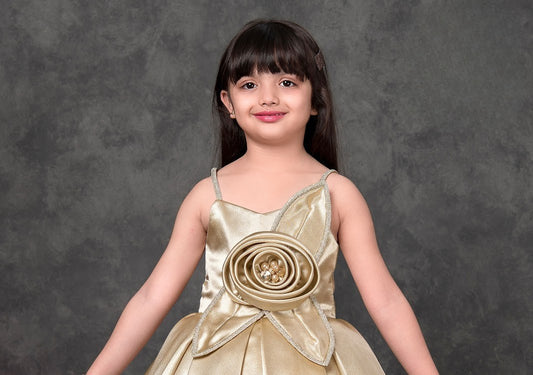 Gold Glam Rose Princess Party Dress